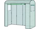Serra In Foglio Serra Da Giardino - Resistente All'inverno - Foglio Di Pe 135 G/M² - Kweekhuis - Serra - Casa Per Pomodori E Piante Rampicanti - 200×66×170 Cm Verde