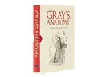 Gray's Anatomy: Edizione Con Cofanetto