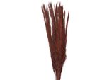 Fiori Secchi Clayre & Eef 85 Cm Fiori Secchi Rossi