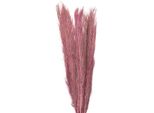 Fiori Secchi Clayre & Eef 100 Cm Fiori Secchi Marrone