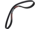 MASTER-SPORT 4PK855-PCS-MS Cinghia A V, Cinghia Piatta Per Bmw 3 (E36)