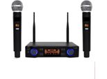 Set Per Karaoke Per Adulti - Senza Fili - Con 2 Microfoni - Sistema Karaoke Completo