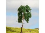 Noch Pine Tree / Borovica 15Cm