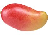 Mango Artificiale Ingannevolmente Reale Come Elemento Decorativo Di Lunga Durata
