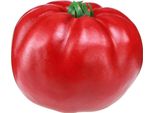 Pomodoro Artificiale Decorativo Per La Cucina E La Tavola