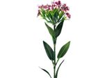Garofano Barbuto Decorazione Fiore Artificiale Ingannevolmente Reale Di Lunga Durata