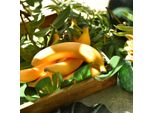 Banana Artificiale Decorativa Design Tropicale Frutta Artificiale Accessorio Per La Casa