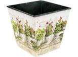 Vaso Per Erbe Aromatiche Decorativo Per Erbe Da Cucina E Decorazione