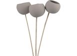 Decorazioni Floreali Secche Bell Cups Per Fioristi E Idee Fai Da Te, 3 Pezzi