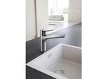 Kludi Mix KüChenarmatur-Einhebelmischer 329040575 Geschlossener Hebel, Schwenkbarer Auslauf, Chrom
