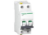 Interruttore Ls Schneider Electric A9F04206