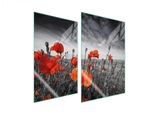 Piastre Copri Fornelli 2 Pezzi 35X52 Copri Piano Cottura In Ceramica Tagliere In Vetro Papaveri Rosso