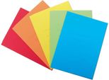Blasetti 617 Cartella Cartoncino Colori Assortiti A4