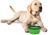 Ciotola Da Viaggio Pieghevole In Silicone Per Cani E Gatti Con Moschettone