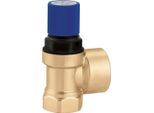 Caleffi 531 Membran-Sicherheitsventil Trinkwasser 1" - 10Bar"