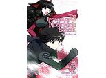 Le Irregolari Del Liceo Magico, Vol. 13 (Light Novel)
