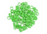 Anelli Per Piccioni, Anelli Per Zampe Di Piccione, Fasce Per Zampe Di Piccione, Anelli Per Zampe Di Piccione A Forma Di Lettera, Anelli Per Zampe Di Piccione A Forma Di Lettera In Plastica