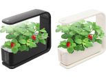 Giardino Idroponico Di Erbe Da Interno - Set Di Piantine Con Lampada A Led - Risparmio Energetico - Spina Ue - Per Il Davanzale Della Cucina - Bianco