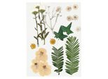 Fiori E Foglie Gialli Essiccati 19 Pezzi Multicolore