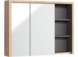 Specchio Specchio Da Bagno Armadio Per Specchi Specchio Da Bagno Specchio Sospeso Armadio Per Specchi
