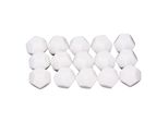 Dadi Bianchi Vuoti, Dadi Di Plastica Per Scrivere, Dadi A 12 Facce, Dadi Di Plastica Vuoti, Dadi Poliedrici, Set Di Dadi Da Gioco Per L'insegnamento