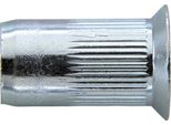 Gesipa Dado Per Rivetto Cieco Gambo Del Rivetto D X L 9 X 17 Mm M6 Testa Svasata Acciaio - 1455369