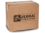 Zebra - 300 Dpi - Druckkopf - FüR ZT400 Series ZT410 (P1058930-010)