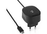 Caricatore Da Parete | 15 W | Funzione Di Ricarica Rapida | 1X 3,0 A | Numero Di Uscite: 1 | Cavo USB-C™ (Rapido) | 1,50 M | Uscita A Tensione Singola