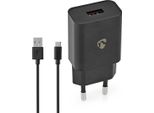 Caricatore Da Parete | 12 W | Funzione Di Ricarica Rapida | 1X 2,4 A A | Numero Di Uscite: 1 | USB-A | Cavo Usb Type-C™ (Sciolto) | 1,00 M | Uscita A Tensione Singola