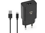 Caricatore Da Parete | 12 W | Funzione Di Ricarica Rapida | 1X 2,1 A A | Numero Di Uscite: 1 | USB-A | Cavo Micro Usb (Sciolto) | 1,00 M | Uscita A Tensione Singola
