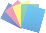 Blasetti 679 Cartella Cartoncino Colori Assortiti A4