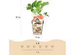 Greenboutiq - Piante Da Frutto - Fragola - Fragaria Maxim - Difficile - 6 Piante - Vaso 9 Cm - Fragola Rossa
