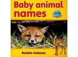 Nomi Di Animali Per Bambini