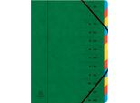Organizer Exacompta, Din A4, Cartone, 12 Cartelle, Verde