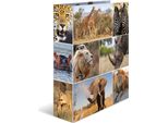 Herma 7168 Cartella A Motivi Animali Africa - A4, 70 Mm