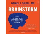Brainstorm
