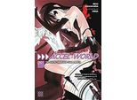 Accel World Vol 9 (Light Novel
