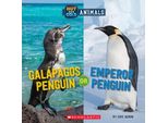 Pinguino Delle Galapagos O Pinguino Imperatore (Mondo Selvaggio: Animali Caldi E Freddi)