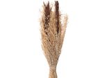 Fiori Secchi Clayre & Eef 60 Cm Brown Fiori Secchi