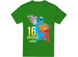 Sesame Street - Maglietta Per Uomo/Donna Unisex, 16° Compleanno TV28250 (3XL) (Irish Green)