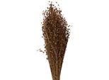 Fiori Secchi Clayre & Eef 60 Cm Fiori Secchi Beige
