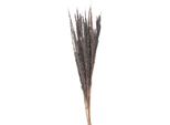 Fiori Secchi Clayre & Eef 100 Cm Fiori Secchi Grigi