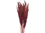 Fiori Secchi Clayre & Eef 100 Cm Fiori Secchi Rossi