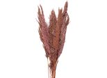 Fiori Secchi Clayre & Eef 100 Cm Fiori Secchi Rosa