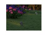 Faro A Led A Picchetto Fade Rotondo 5W IP65 Colore Corten Beneito Faure