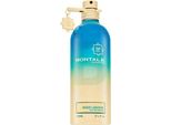 Montale Aoud Lagoon Eau De Parfum Unisex 100 Ml