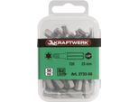 Punta Tx Da 1/4" 25 Mm T30, 50 Pezzi"