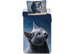 Jerry Fabrics Cat Dark Biancheria Da Letto 140×200 Cm, 70X90 Cm Microfibra