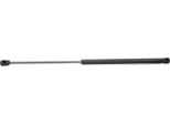 Ridex 219G0302 - Ammortizzatore Posteriore Oe 6 723 079 Per Escort V, Escort Vi