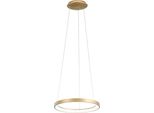Krizia - Lampada A Sospensione Led 30W Dimmerabile - 2300Lm, Luce Calda 3000K, Anello Oro Spazzolato, Diffusore Acrilico, D. 40 Cm, IP20